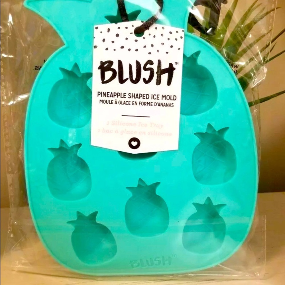 🆕 NEW Blush Pineapple Ice Mold